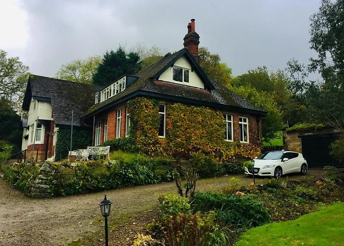 The Woodlands 桑森德